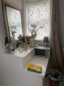 a microwave sitting on a counter next to a window at The Cottage, Ashfield Place in Bristol