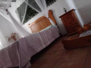 Fotografia z galérie ubytovania Mascotas 2 v destinácii Benaocaz