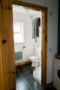 a bathroom with a toilet and a glass door at Modern self catering apartment, Miltown Malbay in Miltown Malbay