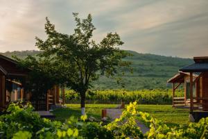 a tree in a field next to a house at Shurra in Merei