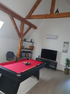 a room with a pool table and a tv at Gite des écureuils in Obernai