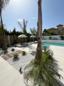 un patio con una palmera y una piscina en Casa Duende, Estepona, Private beach house, en Estepona