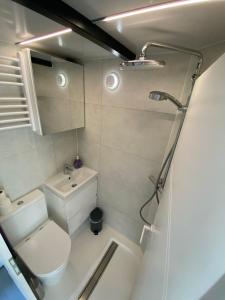 a small bathroom with a toilet and a sink at Moselcube in Traben-Trarbach