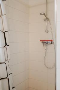 a shower with a shower head in a bathroom at Haus Holli Zarrentin am Schaalsee in Zarrentin