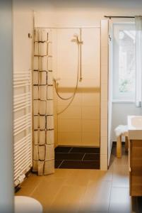 a bathroom with a shower and a sink at Haus Hilde Zarrentin am Schaalsee in Zarrentin