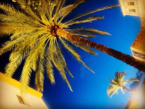 Fotografia z galérie ubytovania Luxury Apartment Sunset Golf Estepona v destinácii Estepona