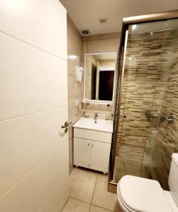 Un baño con inodoro, lavabo y ducha. en Buenos Aires Downtown I, en Buenos Aires