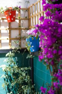 a bunch of purple flowers and potted plants on a wall at Apartamento Rosellón in Barcelona