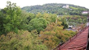 widok na las drzew z pociągu w obiekcie Zentrale Stadtwohnung - direkt am Main, Park-Ausblick w mieście Würzburg