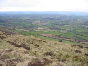 תמונה מהגלריה של Mount Leinster View בבנקלודי