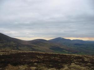 תמונה מהגלריה של Mount Leinster View בבנקלודי