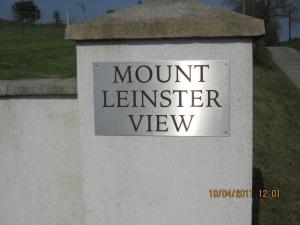תמונה מהגלריה של Mount Leinster View בבנקלודי +37 תמונות