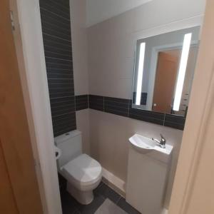 a bathroom with a toilet and a sink and a mirror at Wilkinson farm in Blackrod