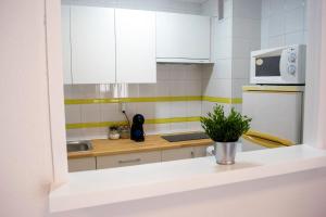 una cucina con armadi bianchi e una pianta su un bancone di Apartament New Cathedral a Siviglia