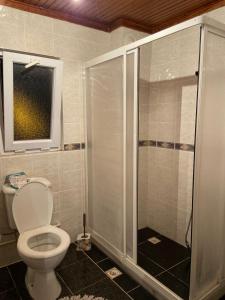 a bathroom with a toilet and a shower at Rooftop apartment with a big garden in Kocaeli