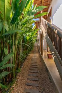 a pathway in a building with plants at Casa Luar Trancoso in Trancoso