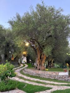 un árbol con un camino de piedra en un parque en Pie' d'Ulivo, en Bosco