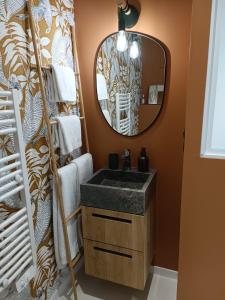 ein Bad mit einem Waschbecken und einem Spiegel in der Unterkunft Maison Bailly in Ducey