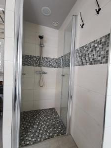 um chuveiro com uma porta de vidro na casa de banho em Ferienwohnung Tannenzwerg em Tannenberg