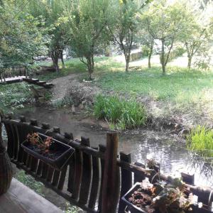 ein Holzzaun mit Pflanzen in einem Teich in der Unterkunft Sljivik in Niš