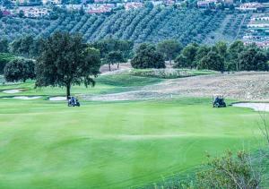 un campo da golf con un albero su un verde di Villa Silvia a Marco Simone
