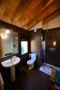 uma casa de banho com um lavatório, um WC e um chuveiro em La Portilla de Gredos. Casa rural em Hoyos del Espino