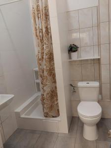 łazienka z toaletą i zasłoną prysznicową w obiekcie Pinto Guest Rooms w Warszawie