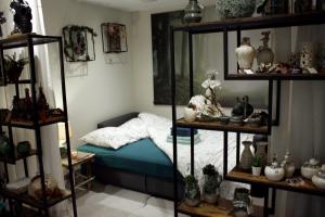 um quarto com uma cama e prateleiras de artigos em Cocon d'Argile em Bischoffsheim