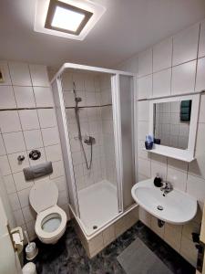 e bagno con doccia, servizi igienici e lavandino. di Gemütliche, charmante Ferienwohnung Nähe Zentrum a Plauen