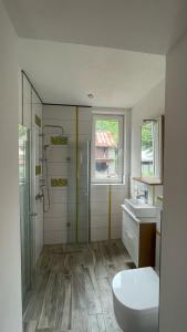a bathroom with a shower and a toilet and a sink at Willa Barwy Wspomnień in Muszyna