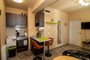 una piccola cucina con bancone e lavandino di Vitosha View Apartment with Parking a Sofia