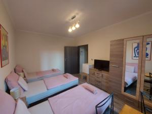 ein Wohnzimmer mit 2 Betten und einem TV in der Unterkunft Borostyán Panzió in Debrecen