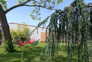 伯恩霍普勒豪特的住宿－La grange de Jeanette，院子里有两把椅子和一棵树