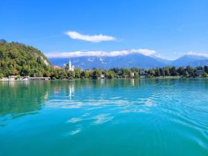 - une vue sur un lac avec des montagnes en arrière-plan dans l'établissement Apartments Karin, à Bled