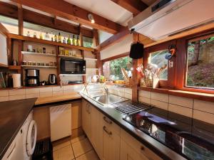 a kitchen with a sink and a counter top at Chalet Chalon in Meillerie