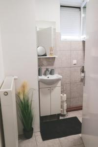 y baño con lavabo y espejo. en Apartman Viljevac, Donji Miholjac, en Donji Miholjac