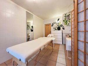 Kúpele alebo wellness v ubytovaní HUSARSKA 60