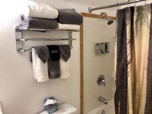 a bathroom with a towel rack over the toilet at Susitna River Lodging, Suites in Talkeetna