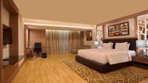 um quarto de hotel com uma cama e uma televisão em Radisson Udaipur em Udaipur