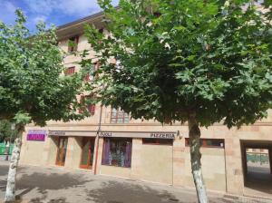 a building with a tree in front of it at Apartamento Parque Europa in Ezcaray