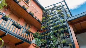a row of windows with plants growing out of them at Masaya Bogotá in Bogotá
