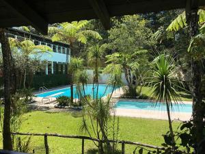 a view of a swimming pool in a garden at Posada Montaña del Quetzal in Cobán