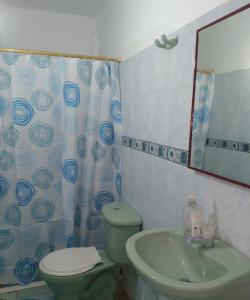 ein Badezimmer mit grünem WC und Waschbecken in der Unterkunft Hostal Casablanca Santa Marta in Santa Marta