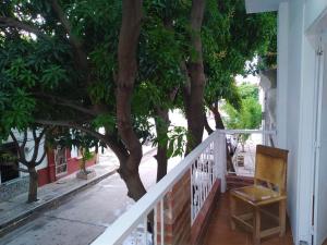 einen Stuhl auf einer Veranda neben einem Baum in der Unterkunft Hostal Casablanca Santa Marta in Santa Marta