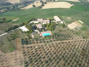 una vista aerea di una casa con vigneto di Agriturismo Le Macine a Silvi Marina