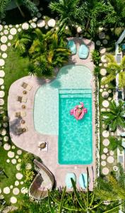 Hồ bơi trong/gần La Isla Bonita Gili Air