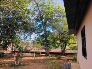 - une vue sur une cour arborée et un bâtiment dans l'établissement Acogedora vivienda anexa en un barrio tranquilo, à David