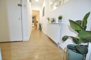 a hallway with white walls and floors and plants at The Osborn at Brick Lane in London