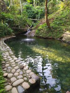 un ruscello d'acqua con cascata in una foresta di Shintuya hot springs a Santa Rosa