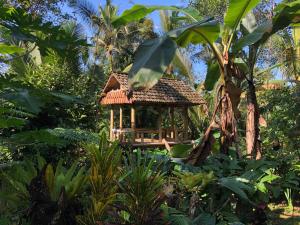 Penebel的住宿－Bali mountain forest cabin，森林中间的小房子